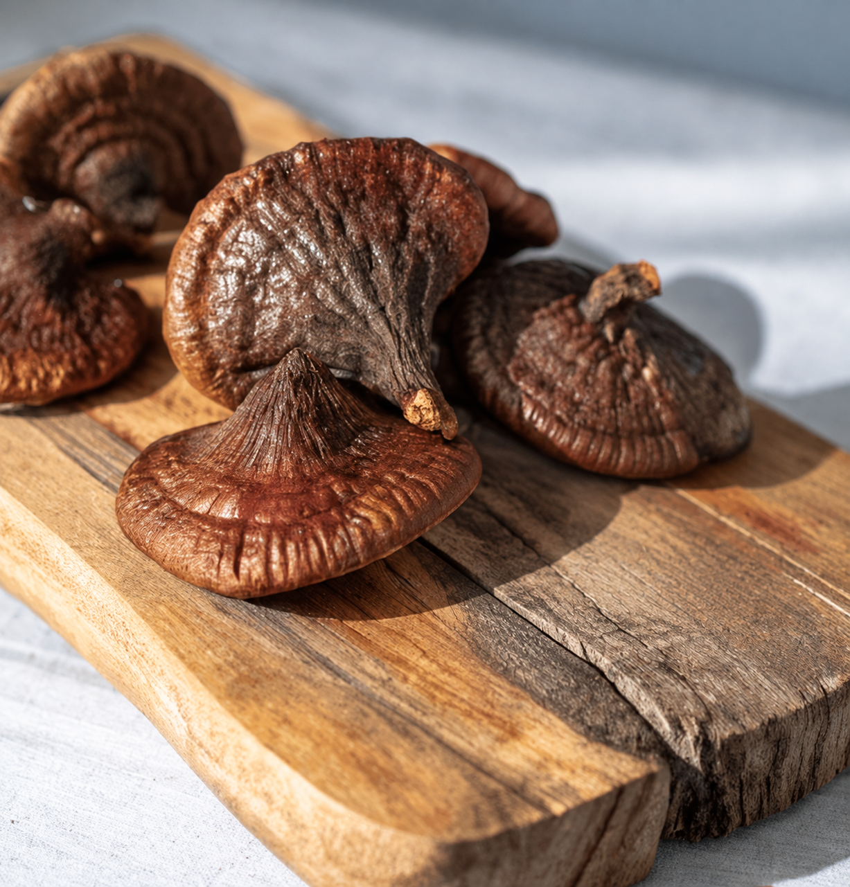 a cluster of whole dried Reishi mushrooms with glossy mahogany-red tops and visible growth rings, resting on a rustic wood slab in natural sunlight